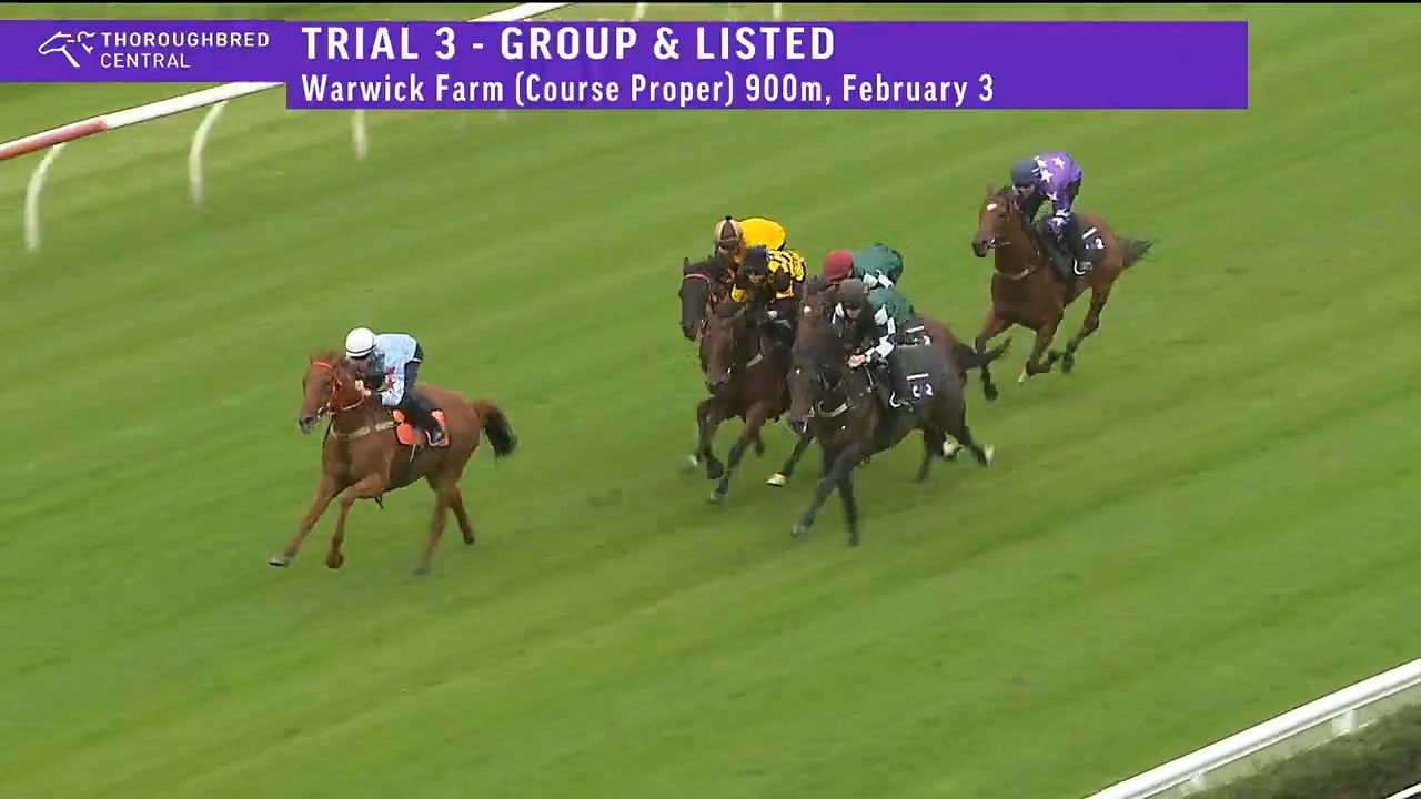 1⃣ Coal Crusher 2⃣ Angel Capital 3⃣ Joliestar The Joe Pride-trained ...