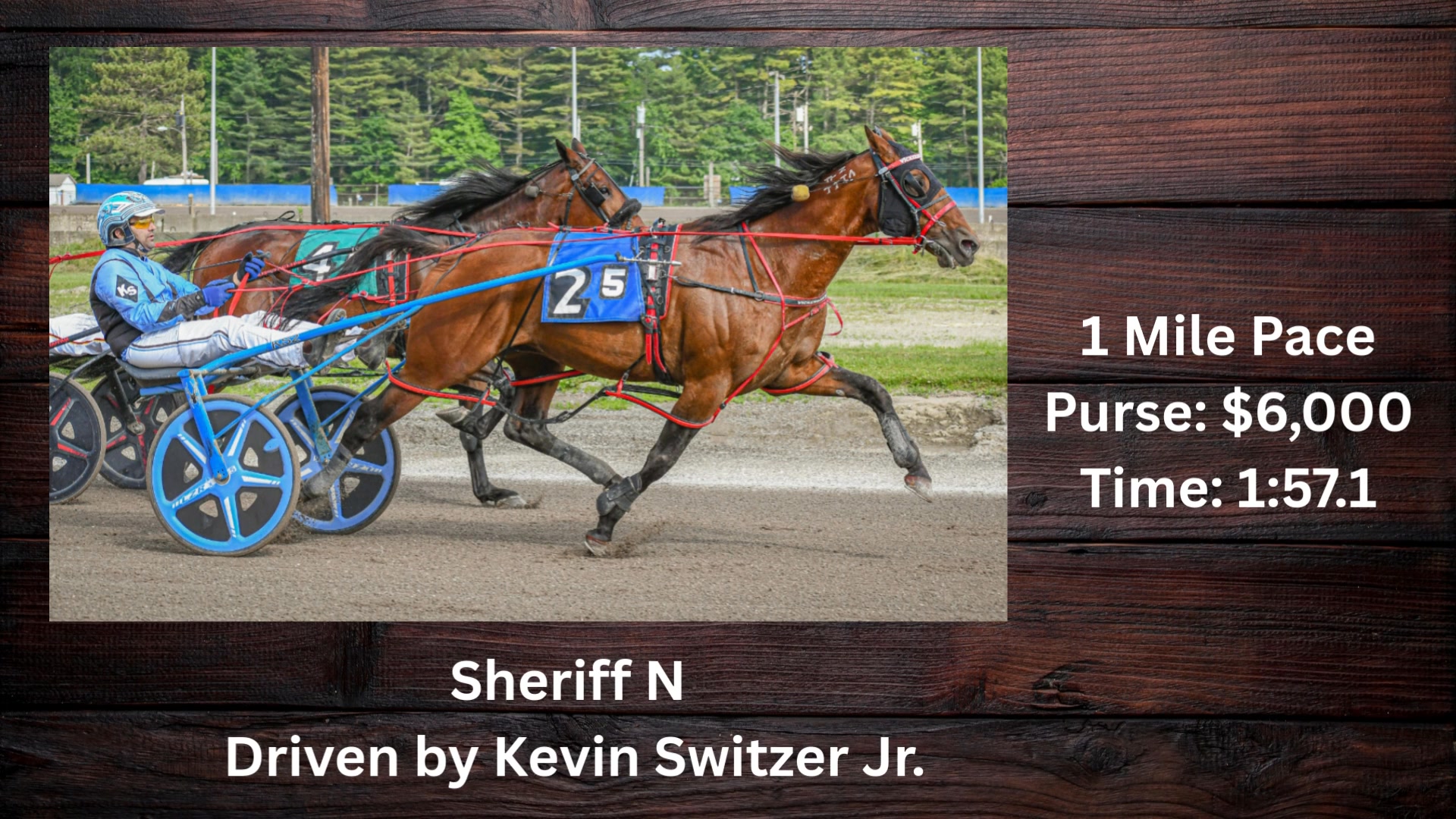 A look back on harness racing at Cumberland Raceway on June 14, 2025. I ...