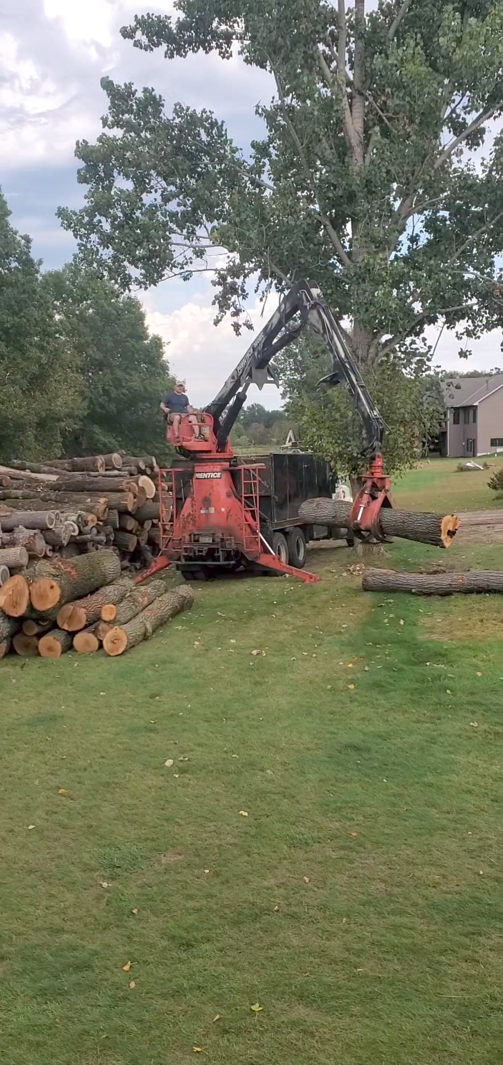 Raml's Tree Service | Stacy MN