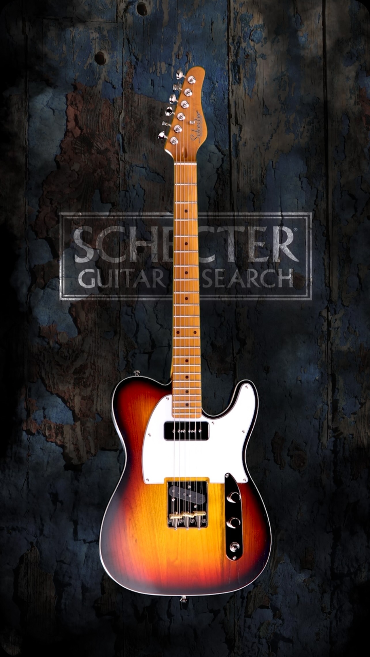 Featuring a Swamp Ash Body, Maple Neck & Fretboard, 22 X-Jumbo