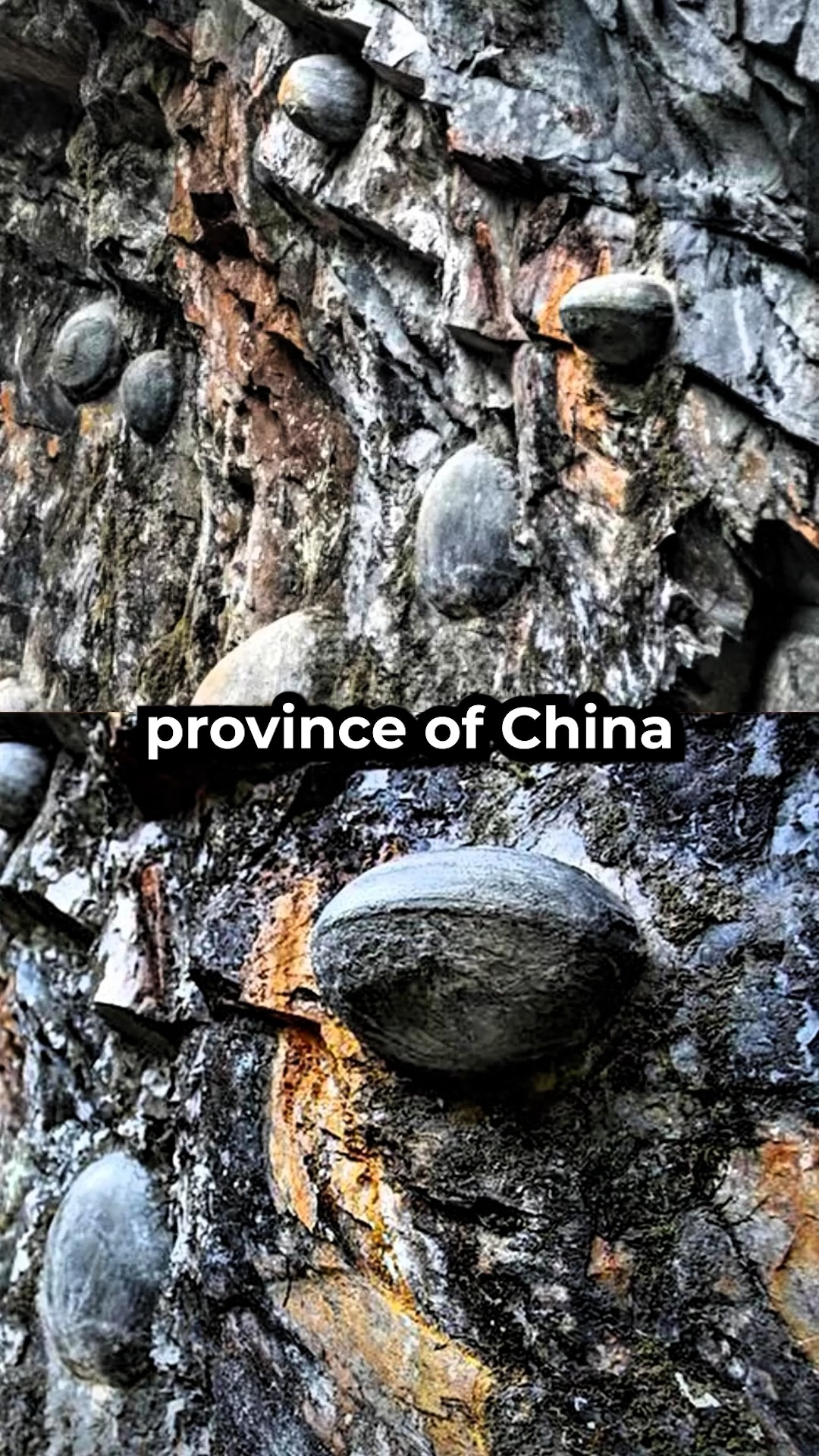 Perfectly rounded stone spheres have been unearthed with no clear ...