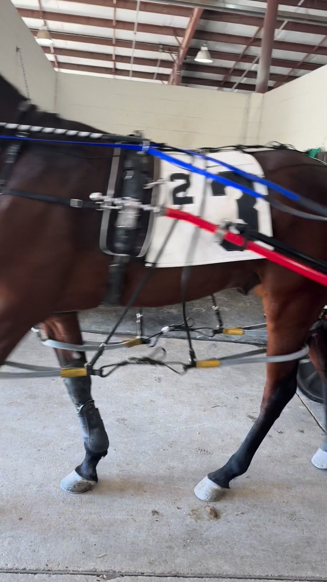 We’ll be doing updates on our Running Aces horsemen and what they’re ...