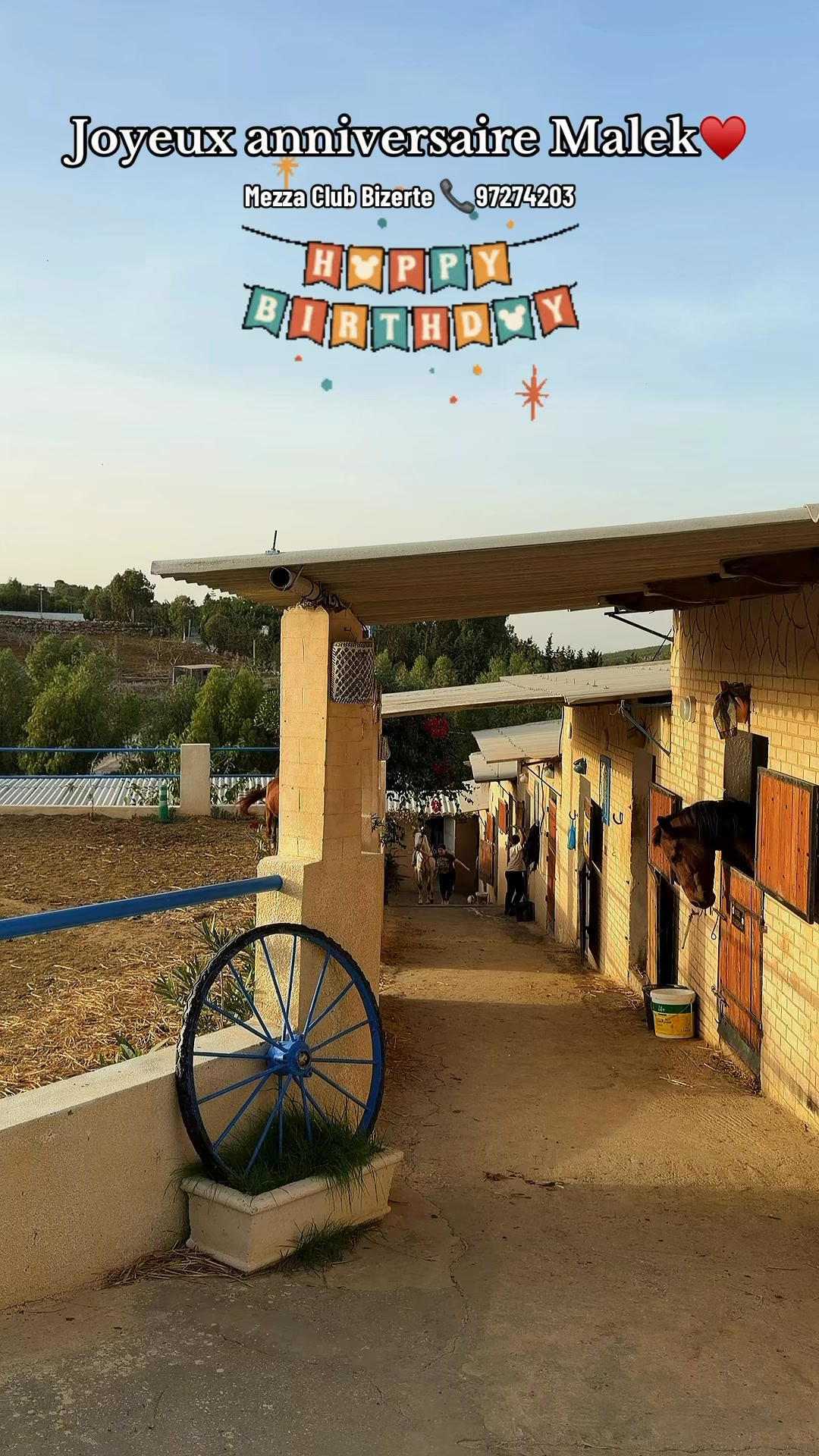 Mezza Club Équestre Bizerte on Reels | Facebook