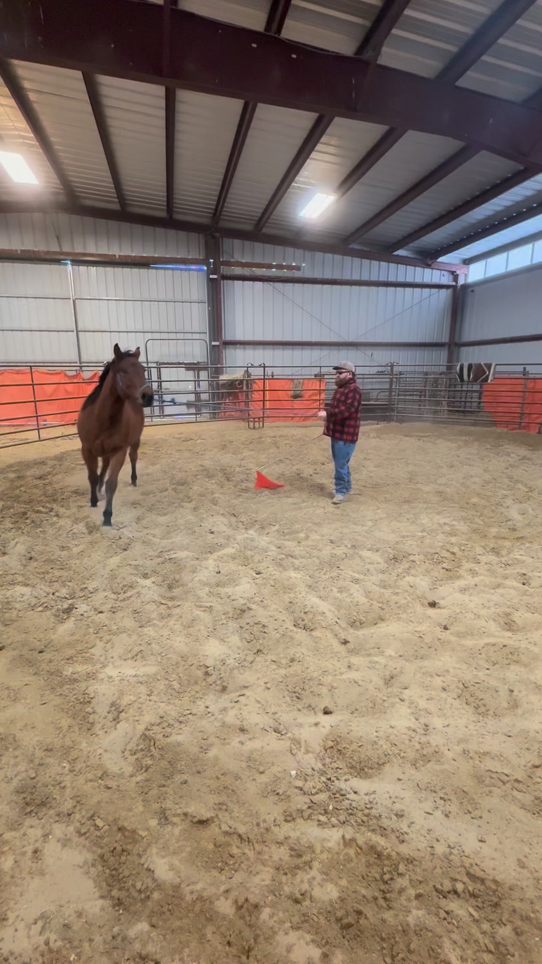This 88 RANCH PERFORMANCE HORSES baby is the sweetest boy. Can’t wait ...