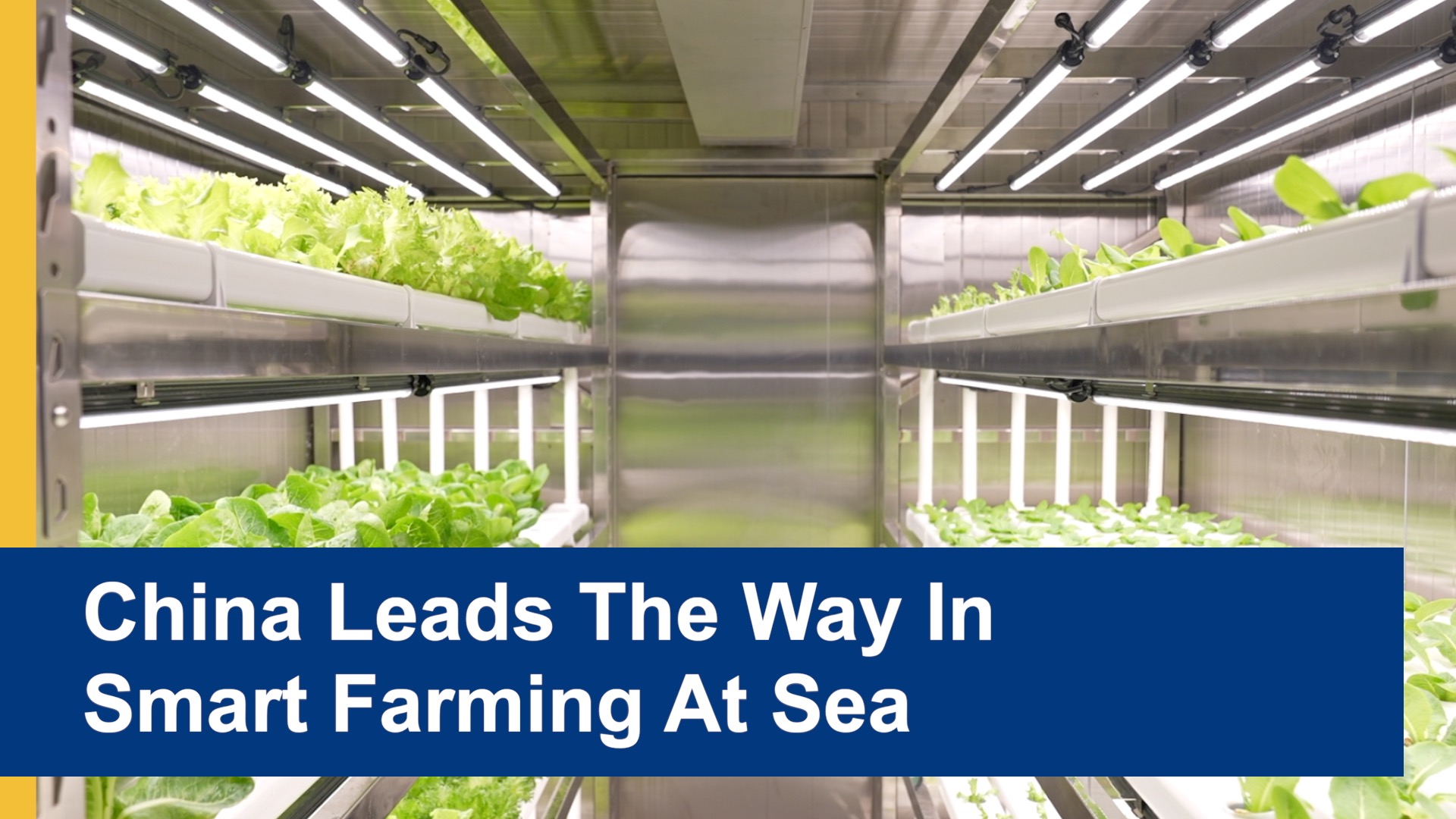 #China leads the way in smart #farming at sea China has unveiled the ...