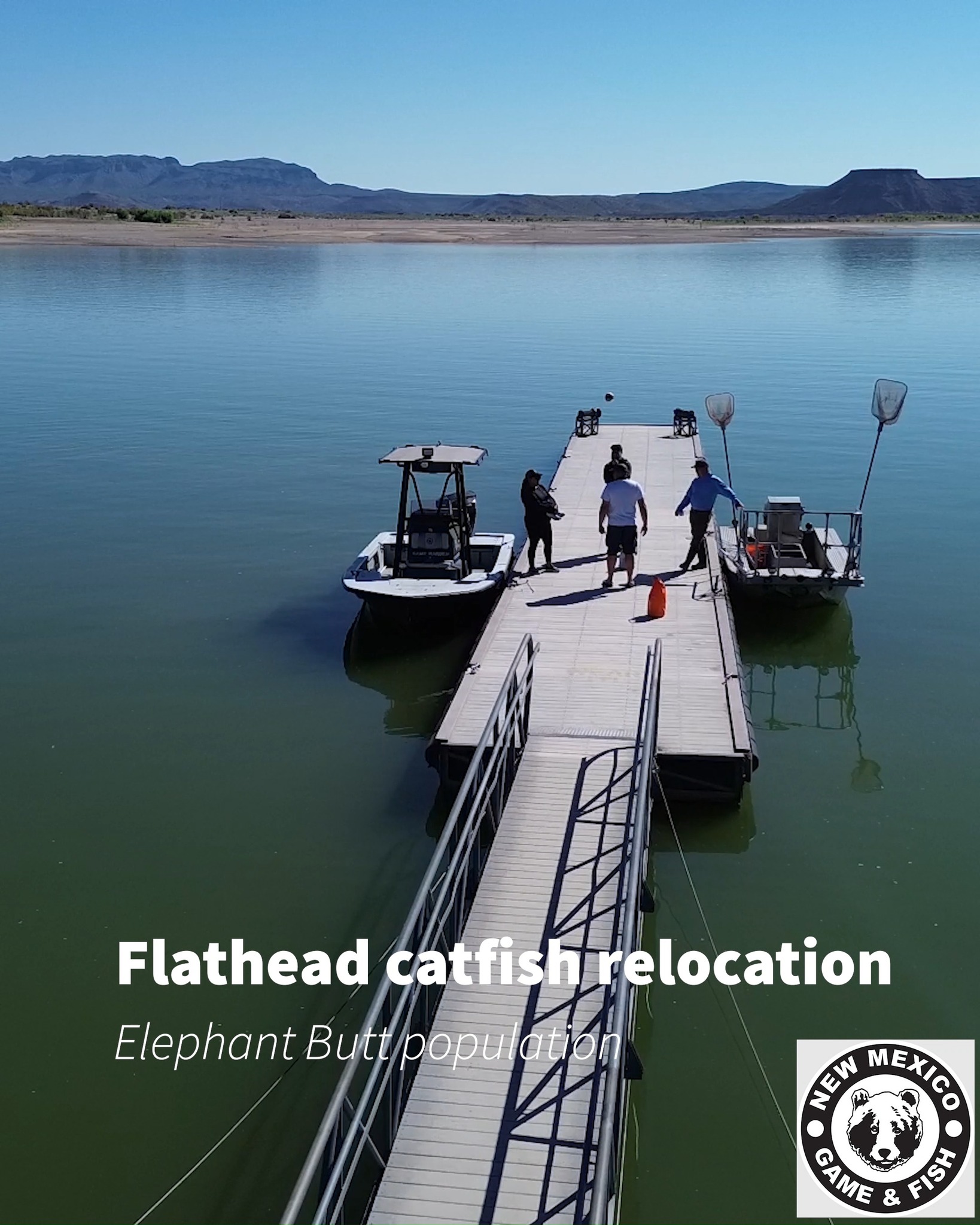 Fishing is about to get a whole lot better in Clayton Lake. Fisheries ...