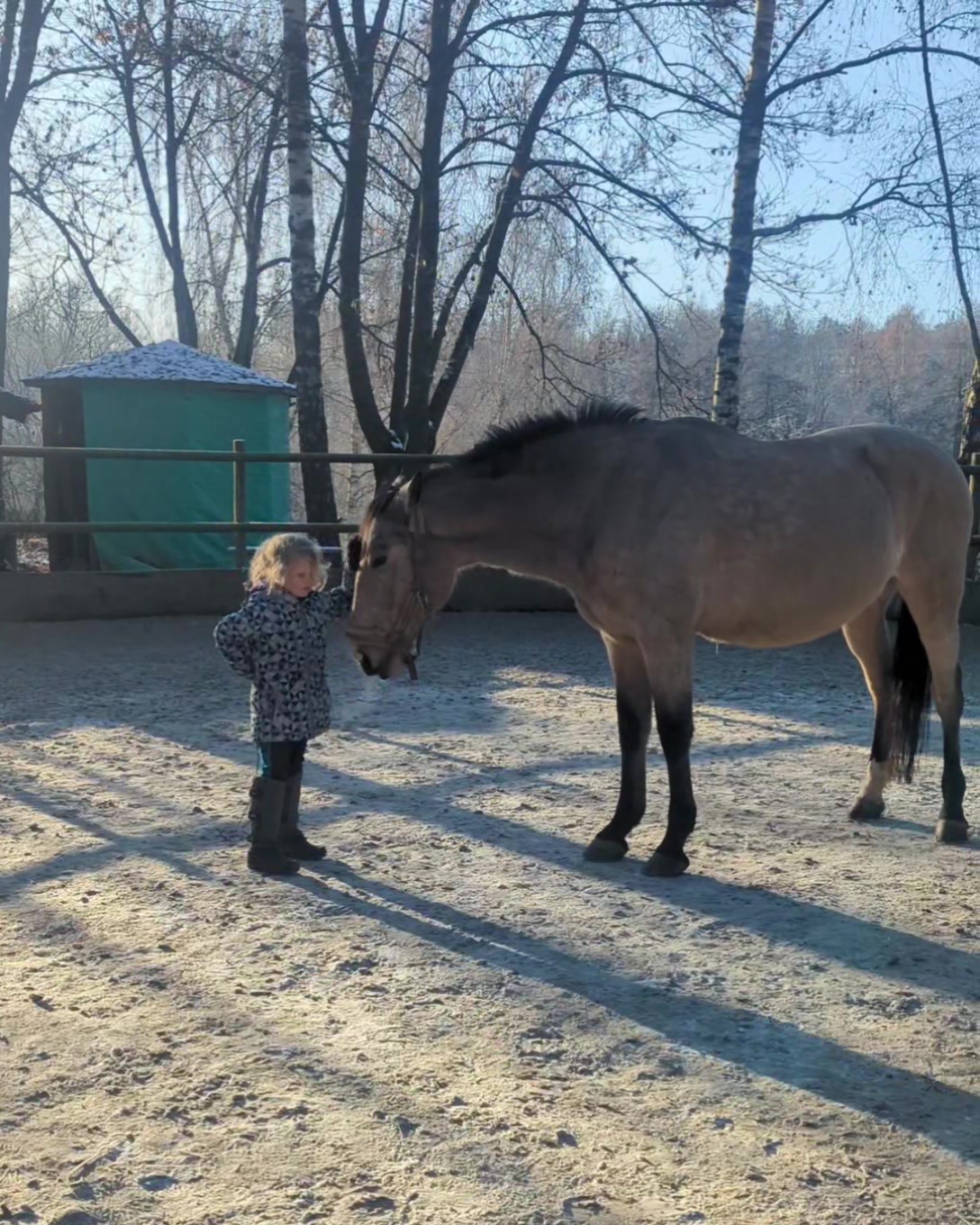 The Horse Boy - The miracle friendship 😍