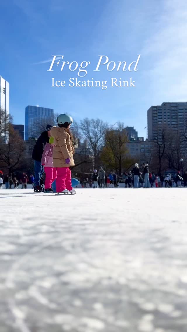 The wait is finally over 🤩... - The Boston Common Frog Pond | Facebook
