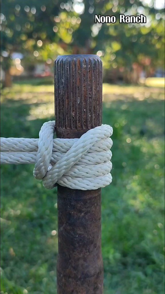 Amarre sencillo y práctico que debes aprender 😃💯 NONO RANCH Adventure ...