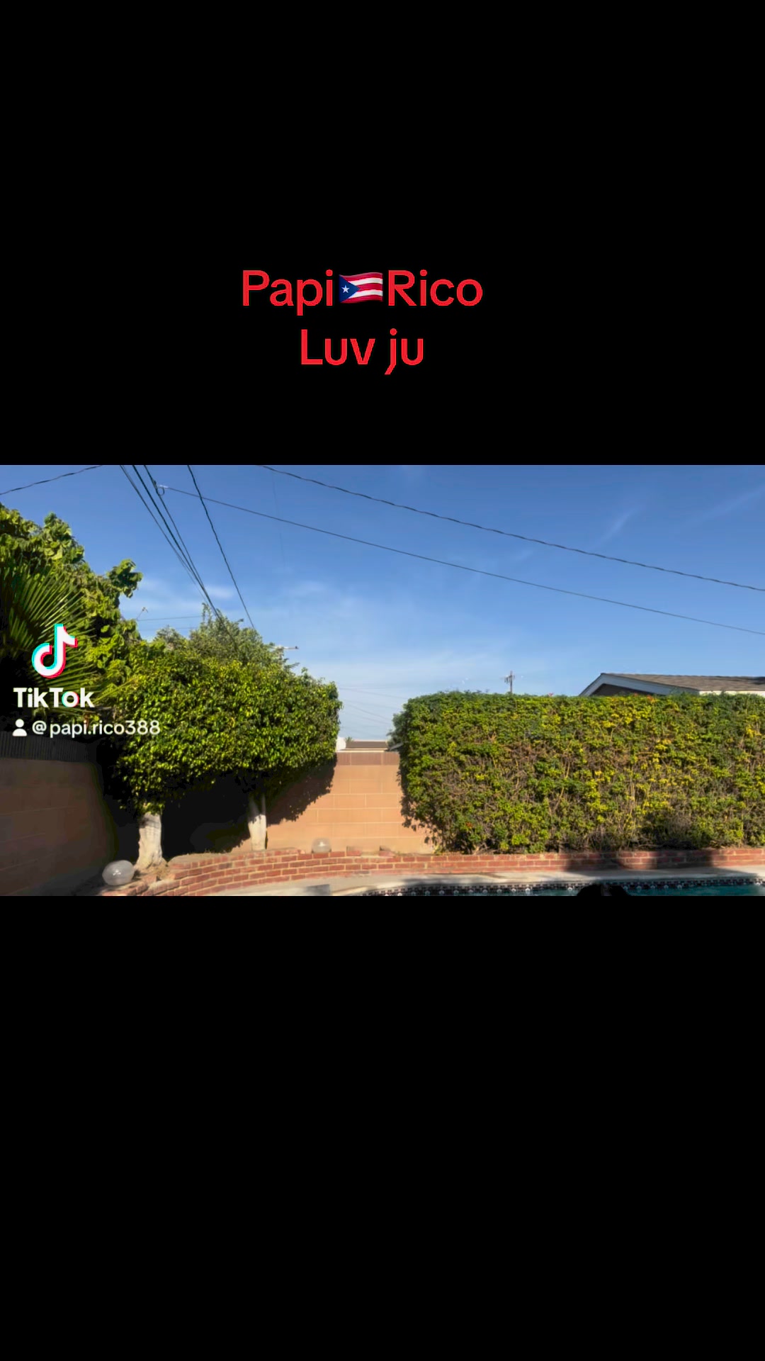 PAPI RICO site