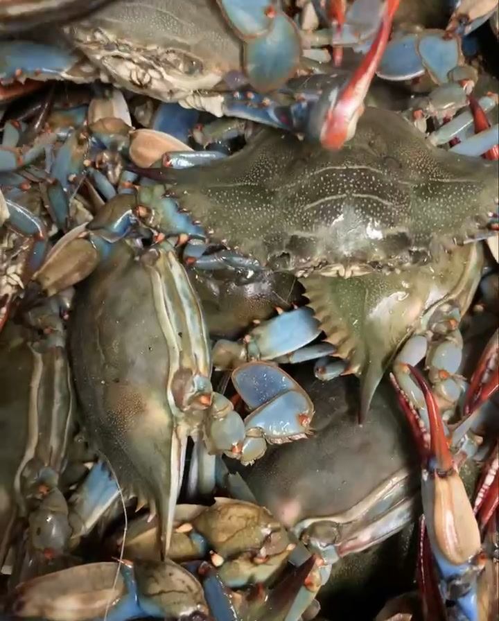 H&J Seafood - Home - Goose Creek, South Carolina - Menu ...