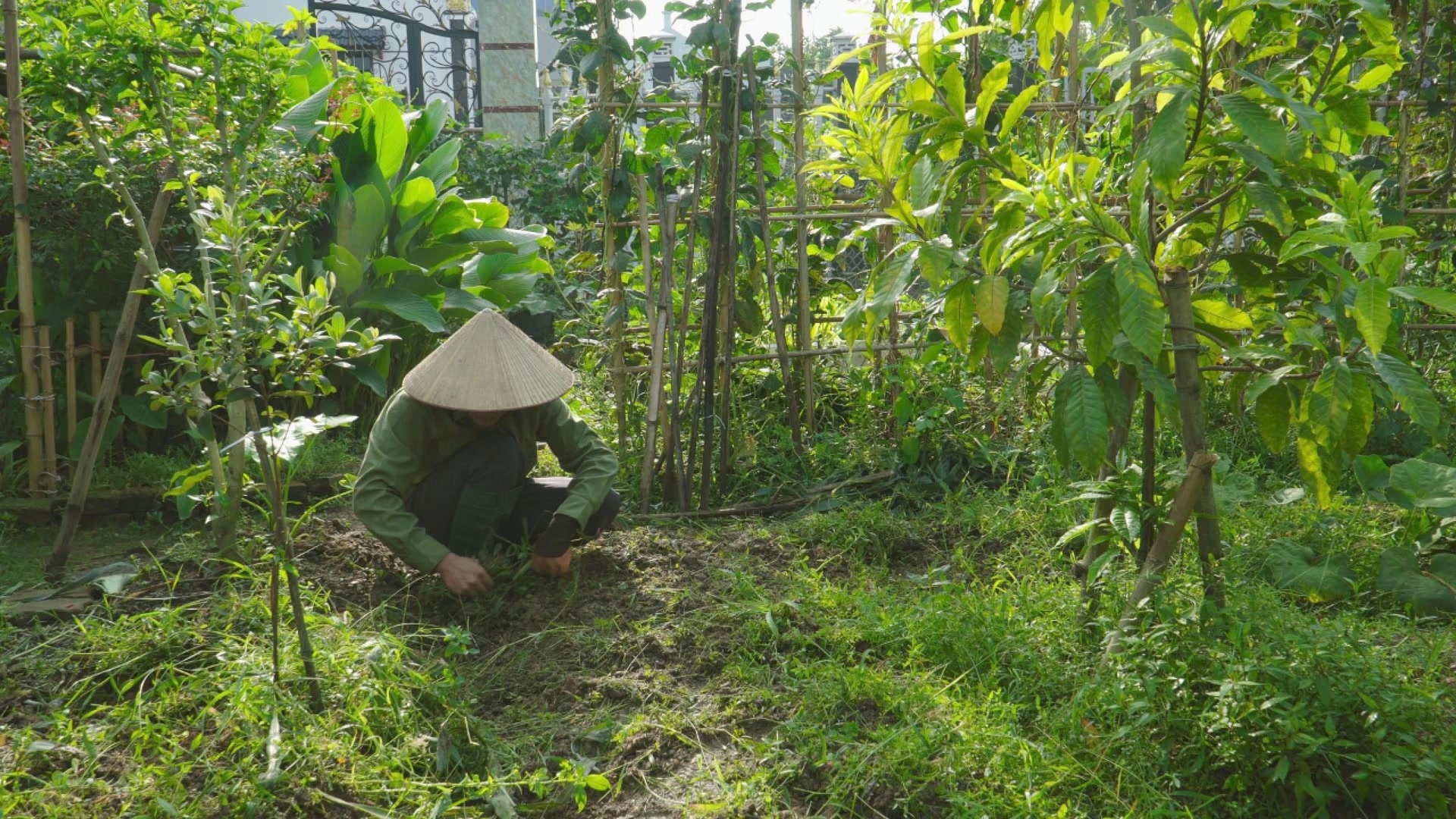 Công Quyết