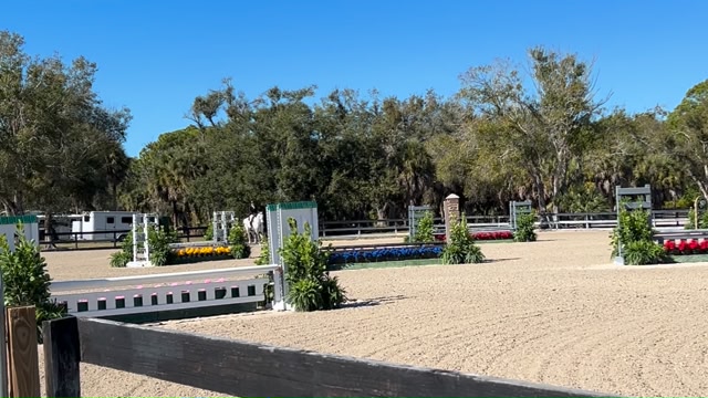 Coming back to the same place where I first ever rode Yahoo 🤍🐎 One year ...