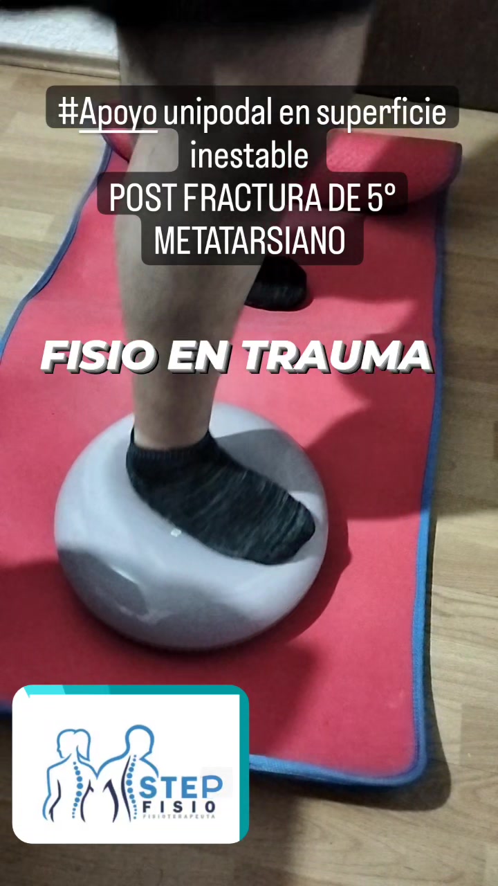 FISIO STEP | Toluca