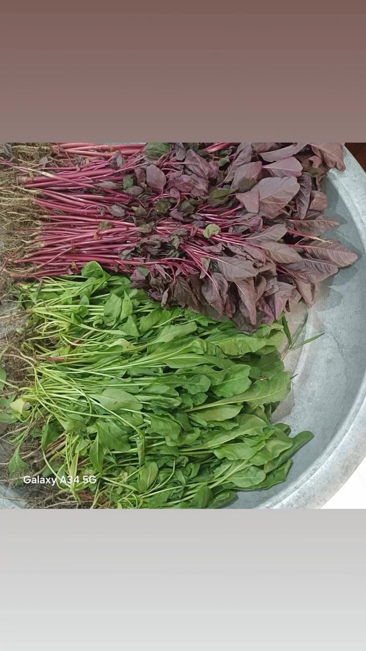 শাকিল স্যার - English