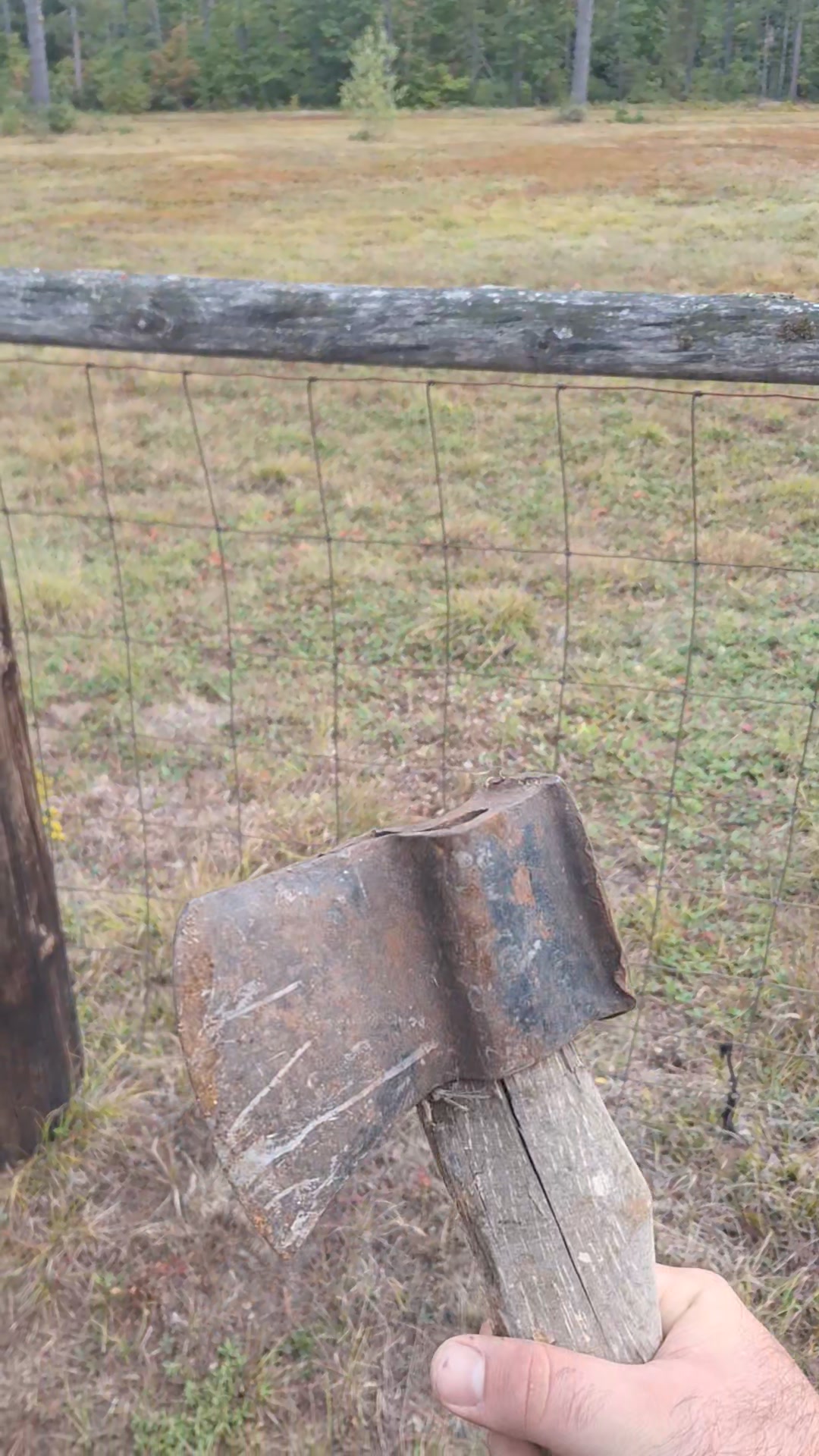 Pulaski axe overpaid has CZ2 mark on back think its for Crown