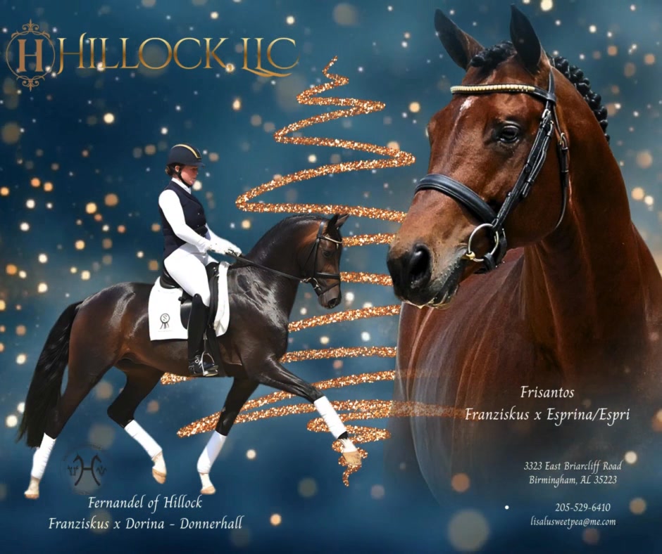 Fronida P, Price Highlight of the 2026 Hanoverian Hybrid