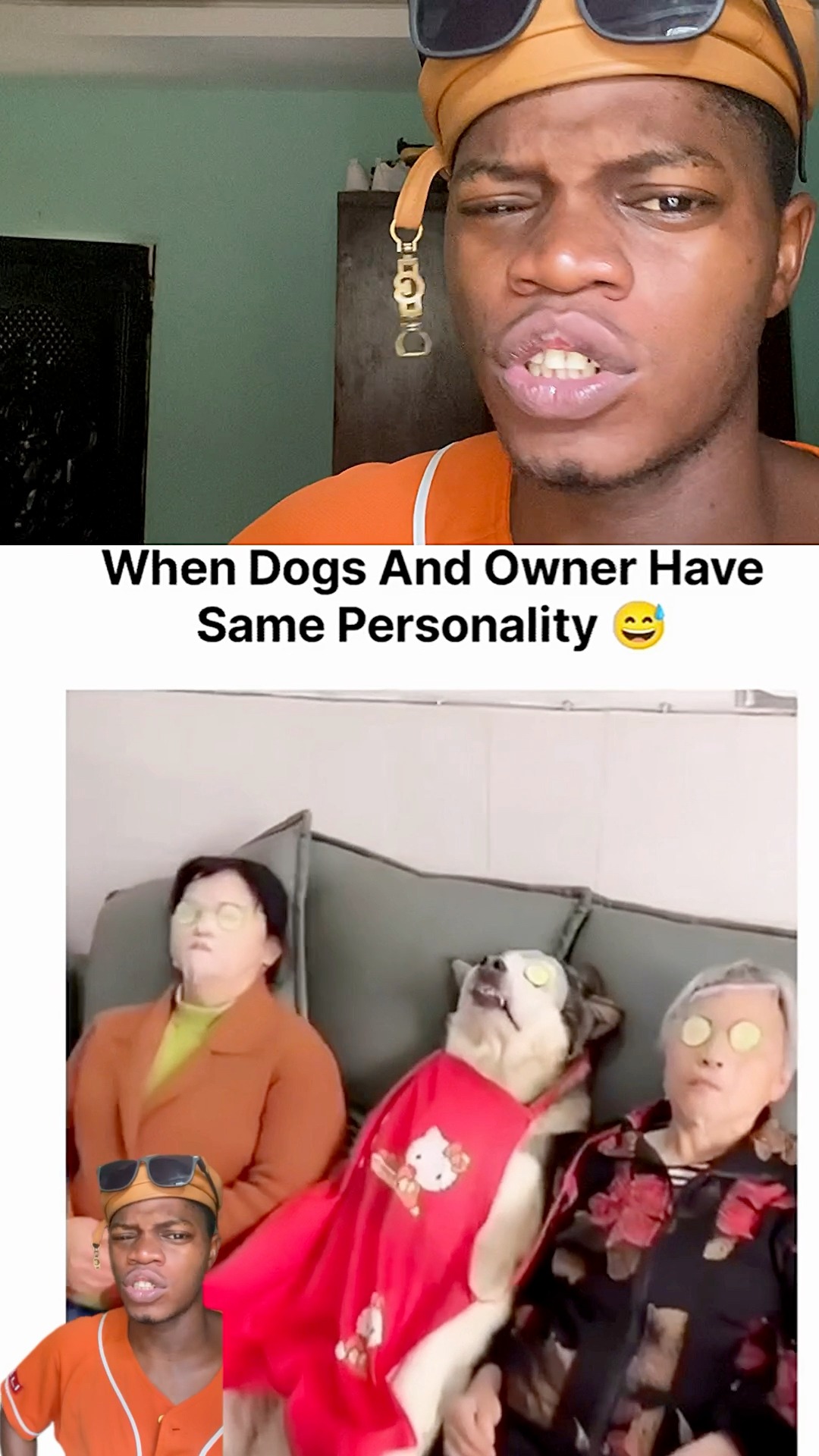 Gallery Detail: When Dogs And Dog Owners Have Same Personality