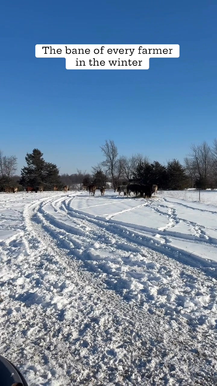 Short Spade Ranch