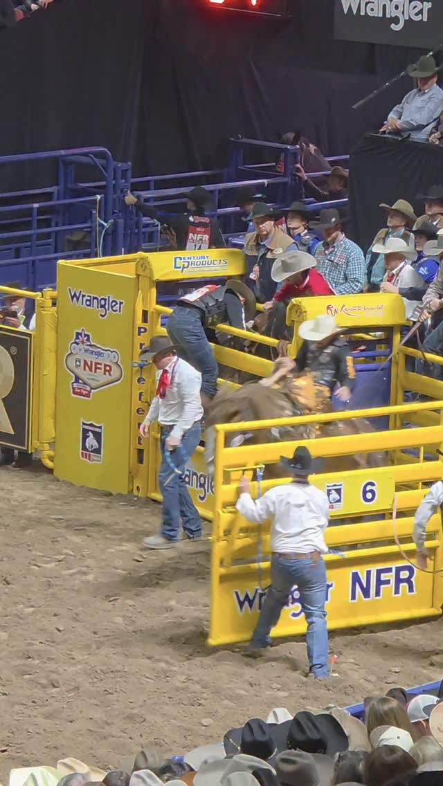 Merry Christmas from the rodeo side 🎅🐂#RodeoLife #ChristmasRodeo # ...
