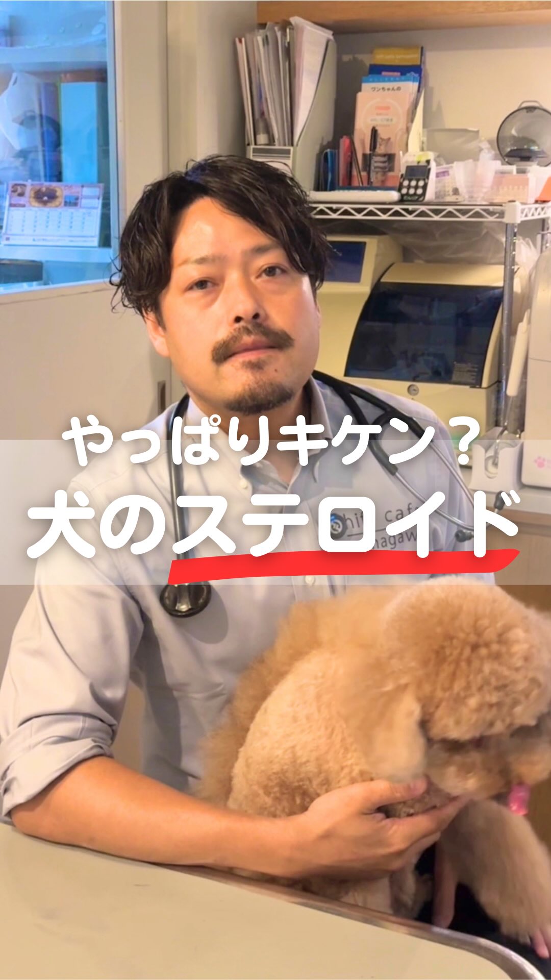 ⋱ 監修 伊從慶太 先生 インタビュー動画を公開！ ⋰ ㅤㅤ 《 好評発売