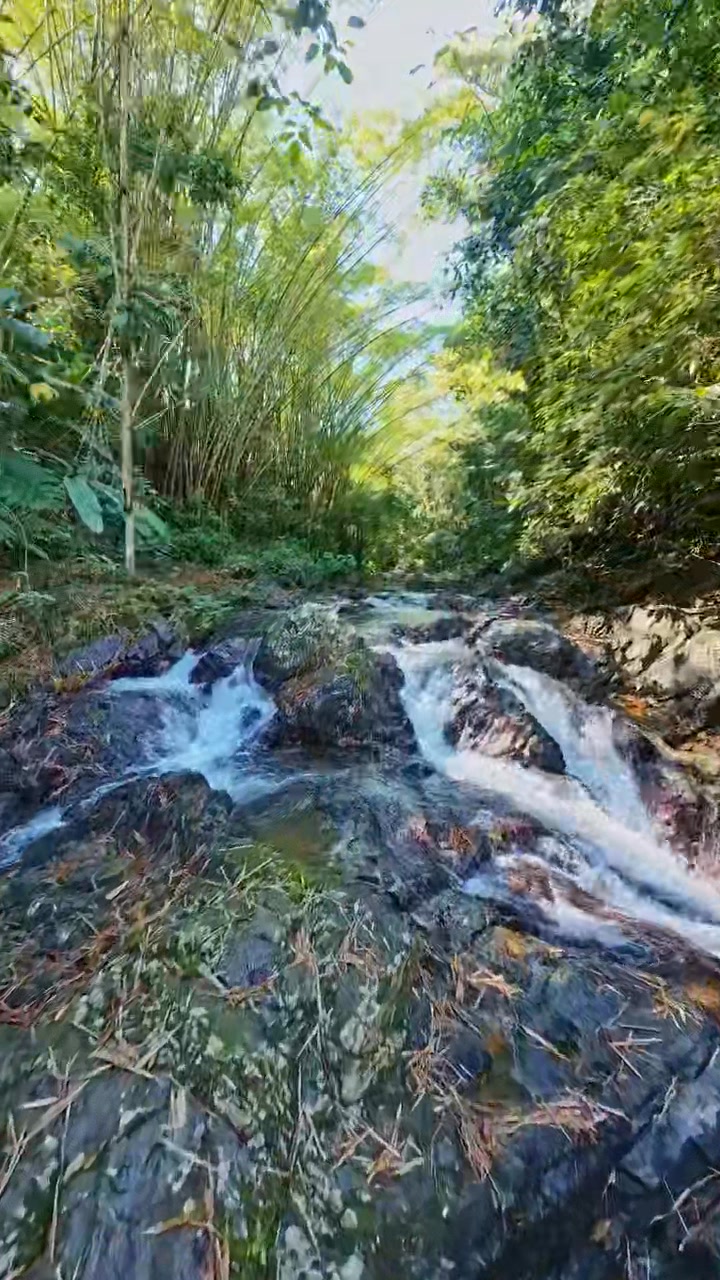 Hermoso Rio en las Marias, Puerto Rico. 🇵🇷🌳🏞️ #LasMarias #PuertoRico # ...
