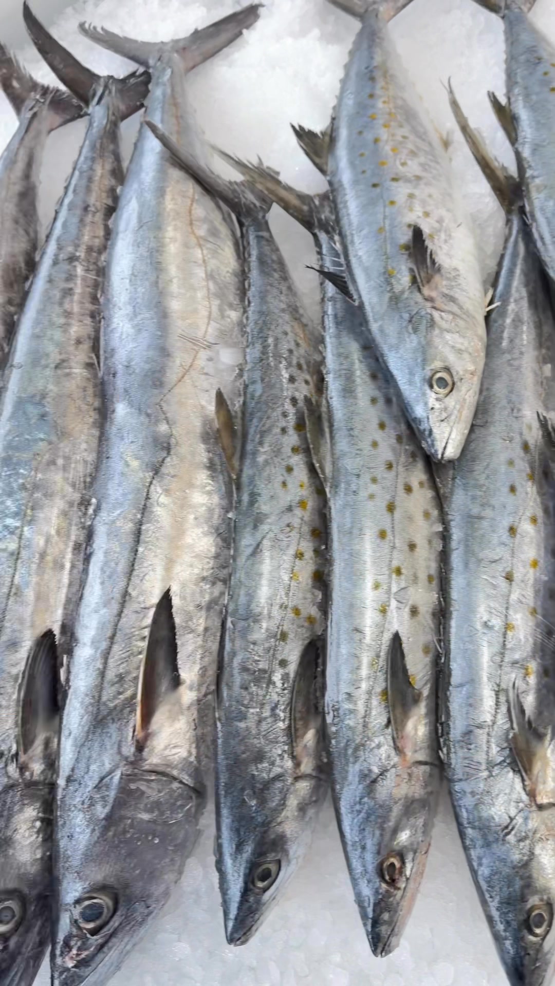 Shaker's Fish Market in Ohio