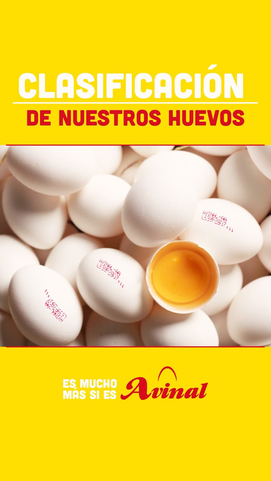 Avinal - ¿Sabías que el huevo se clasifica por peso y no... | Facebook