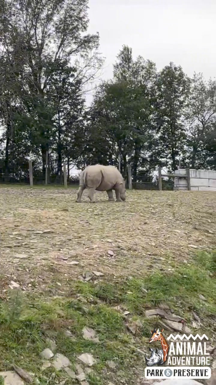 Tickets are NOW LIVE for Wine-os with Rhinos! 🍷🦏 This exclusive