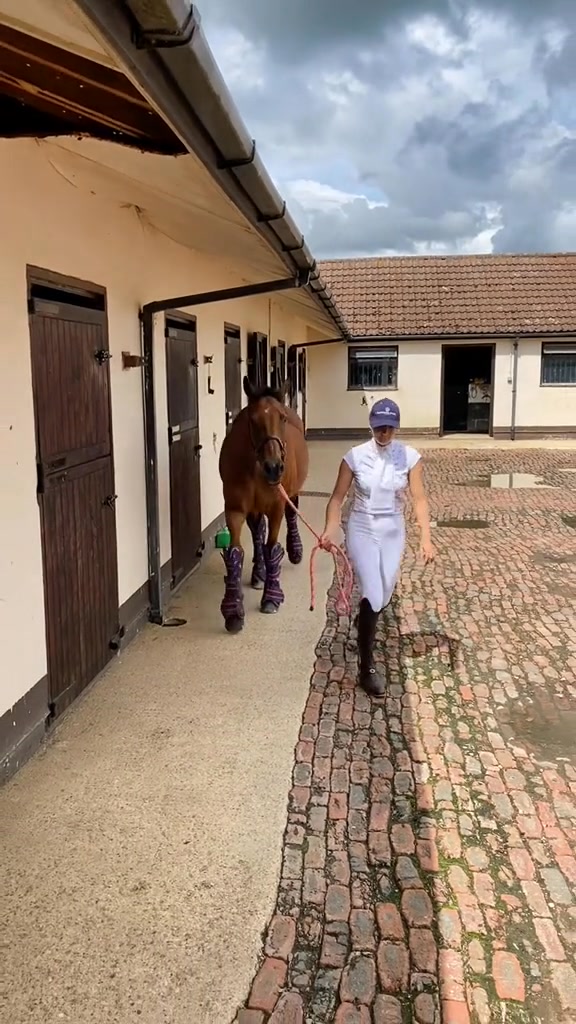 My 🌎 #countrygirl #horsegirl #equestrian #horserider #horsesontiktok # ...