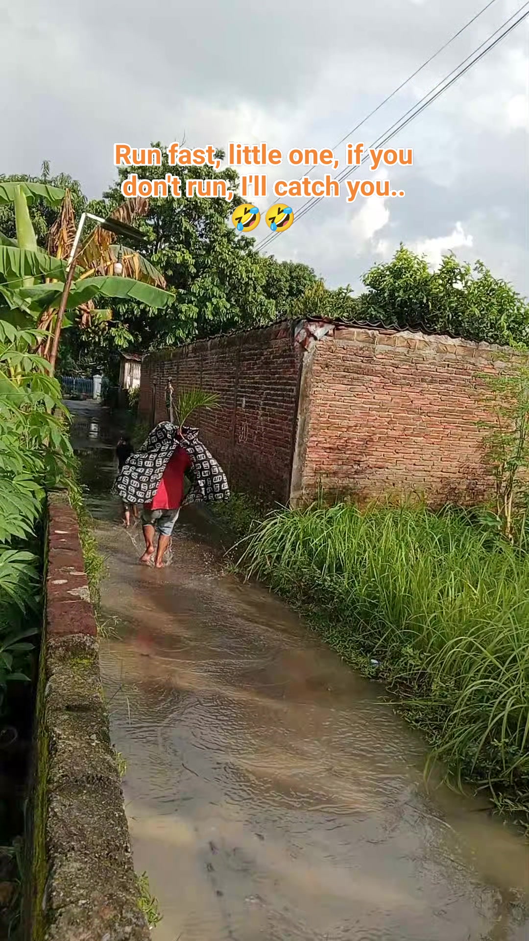 Run fast, little one, if you don't run, I'll catch you.. 🤣🤣 #fyp # ...