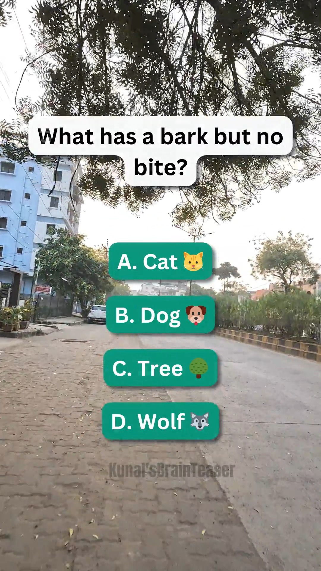 Can you crack this riddle? What has a bark but no bite? 🌳 | Kunal's ...