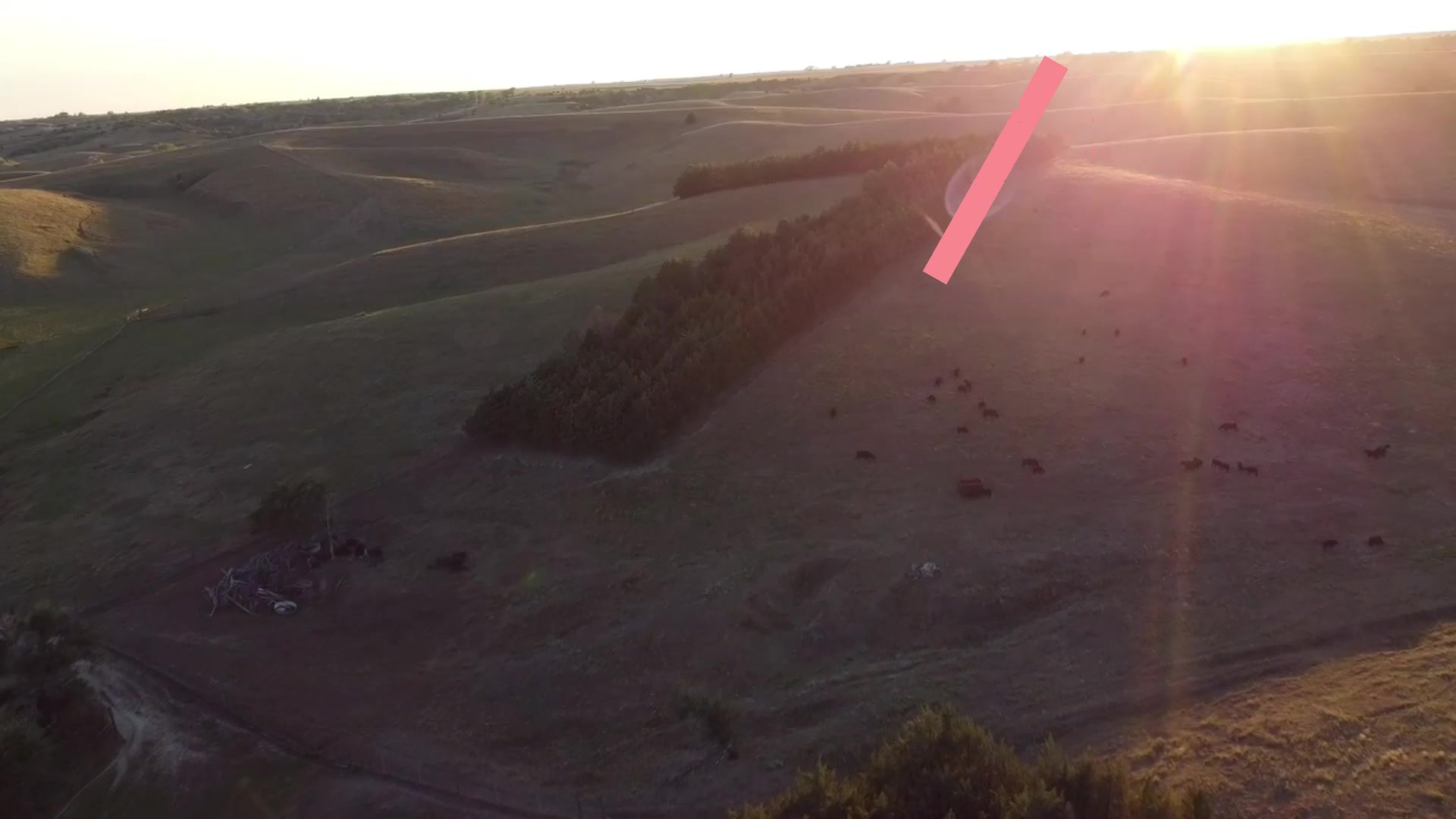 The Rolling S Ranch