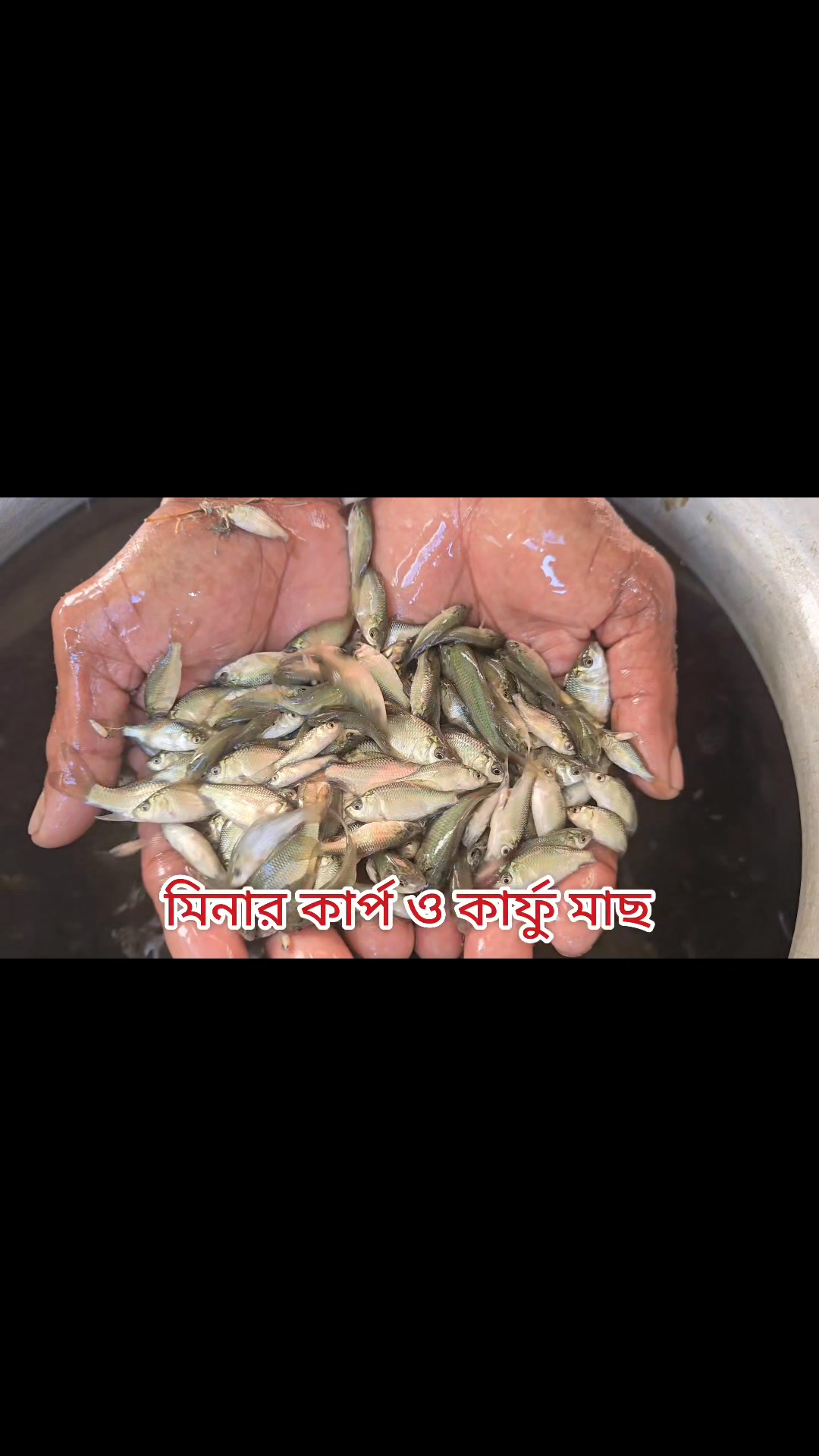  মাছের খামার বাংলাদেশ added a new photo. - মাছের খামার বাংলাদেশ 
