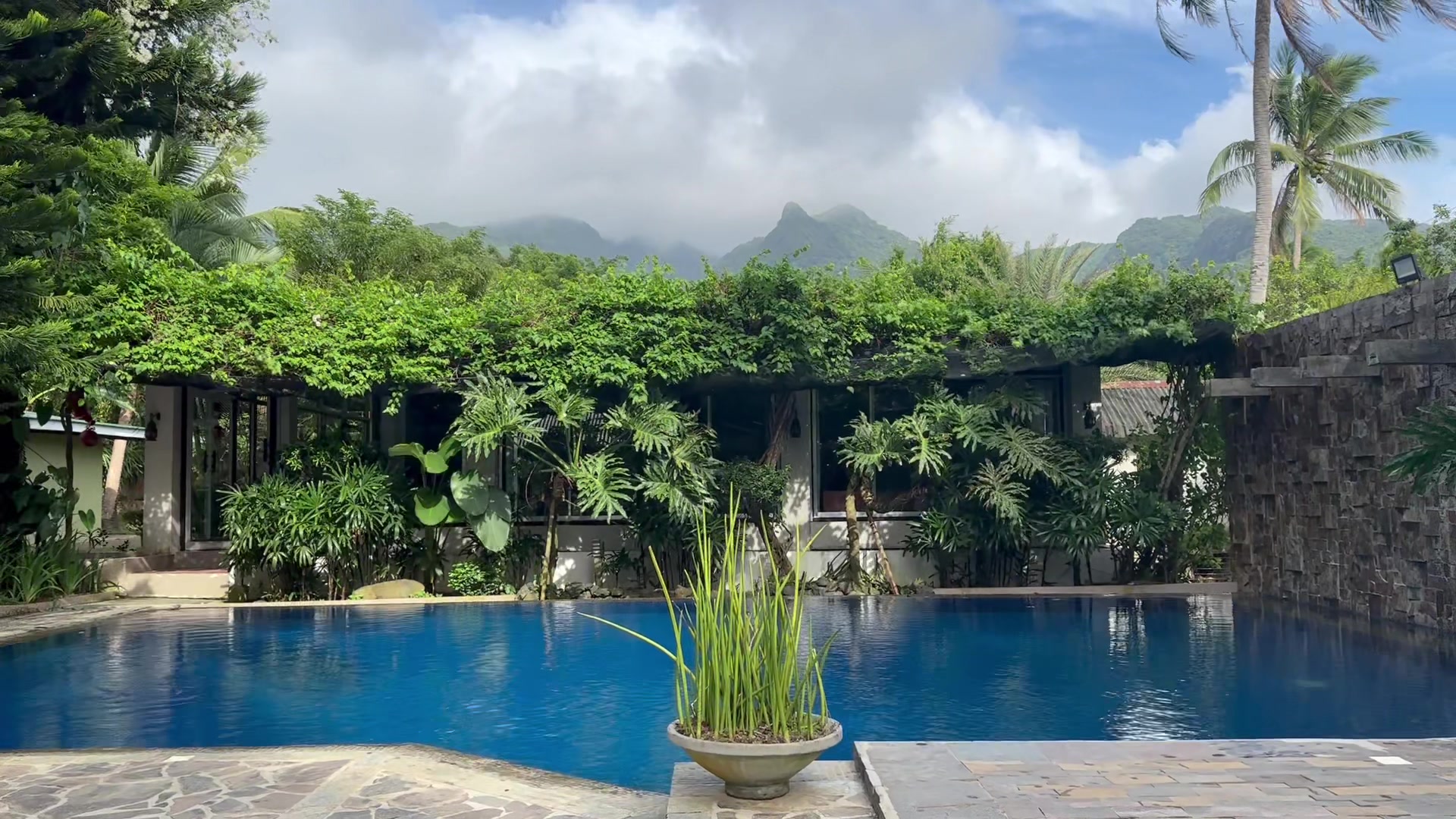 Good morning.. Enjoy this relaxing ambiance at 3C’s Place 🍃🌬️, There are still available dates for the month of December and we are already accepting reservatioms for January ✨, Send us a message to