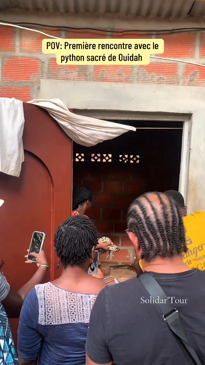 Vraie immersion culturelle au temple de python de Ouidah. Et toi, tu ...
