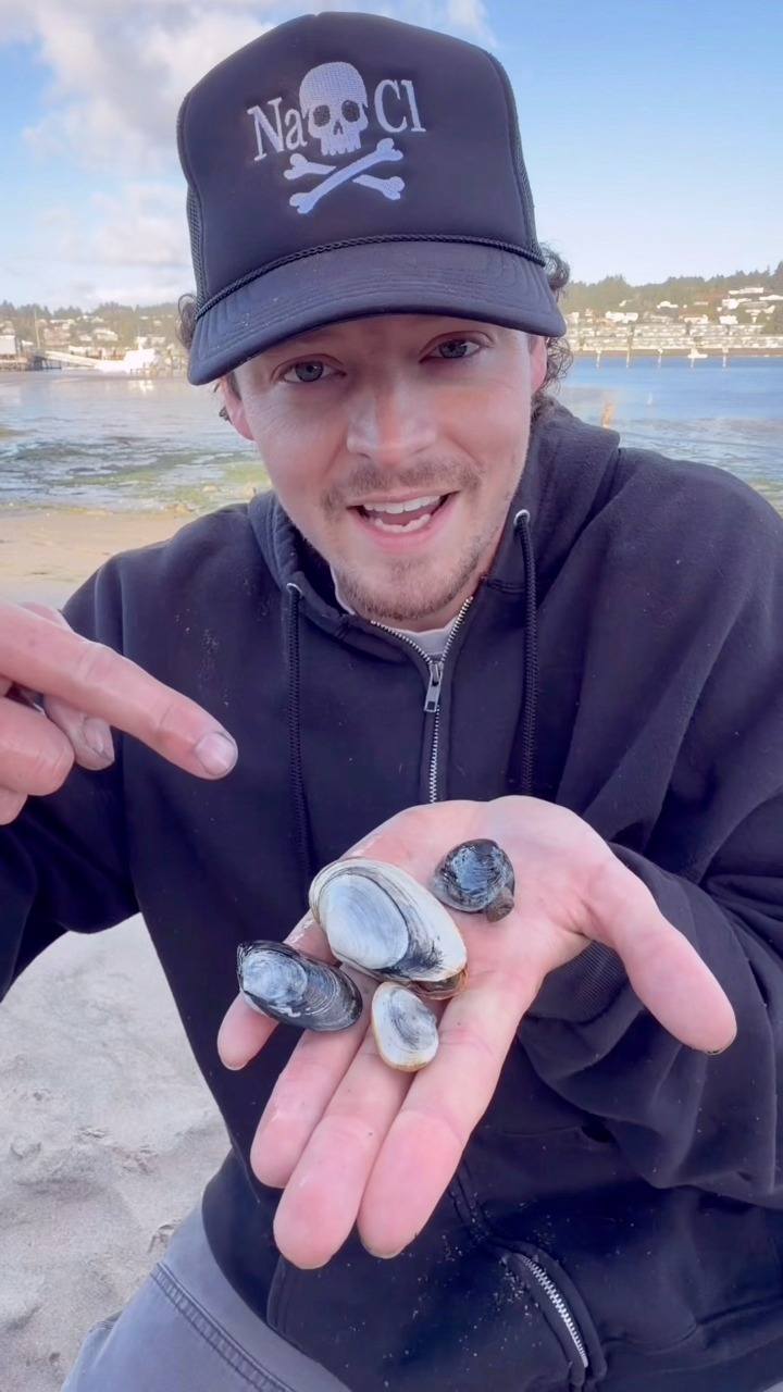 Catching Clams! 😱 #animals #nature | Jacob Colvin | Facebook