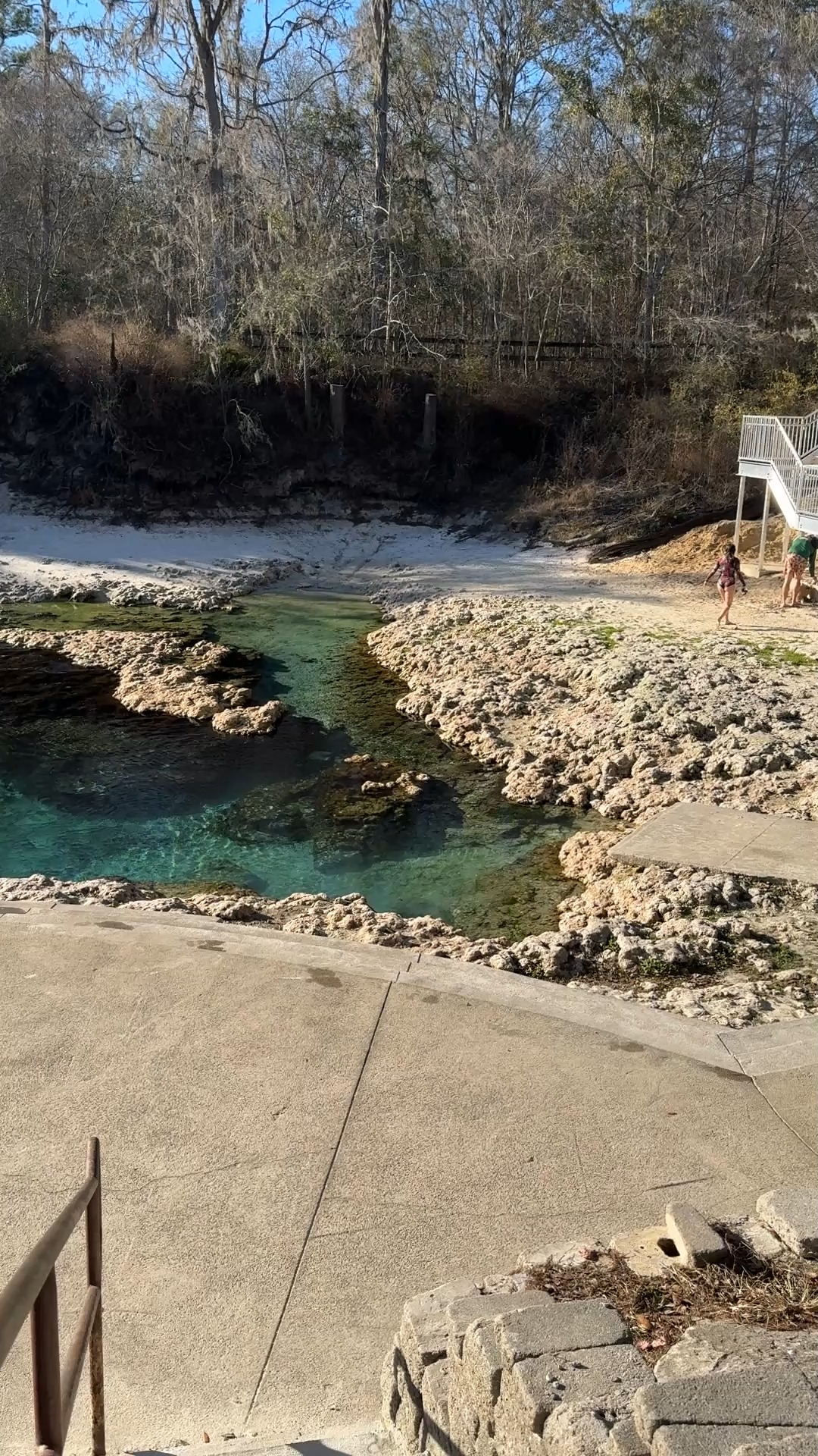 Water levels at Little River Springs remain extremely low right now ...