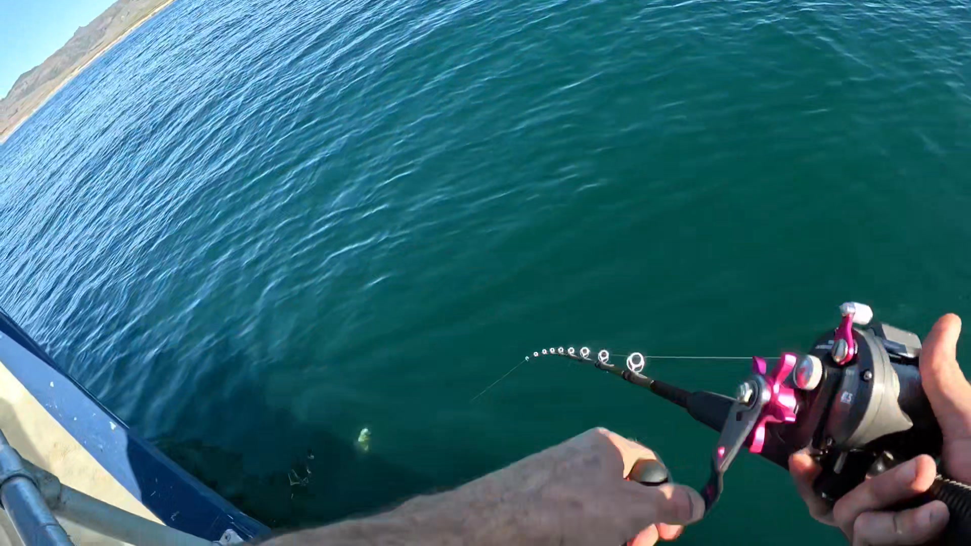 Fishing this past Friday onboard The Avenger out of Morro Bay Landing ...