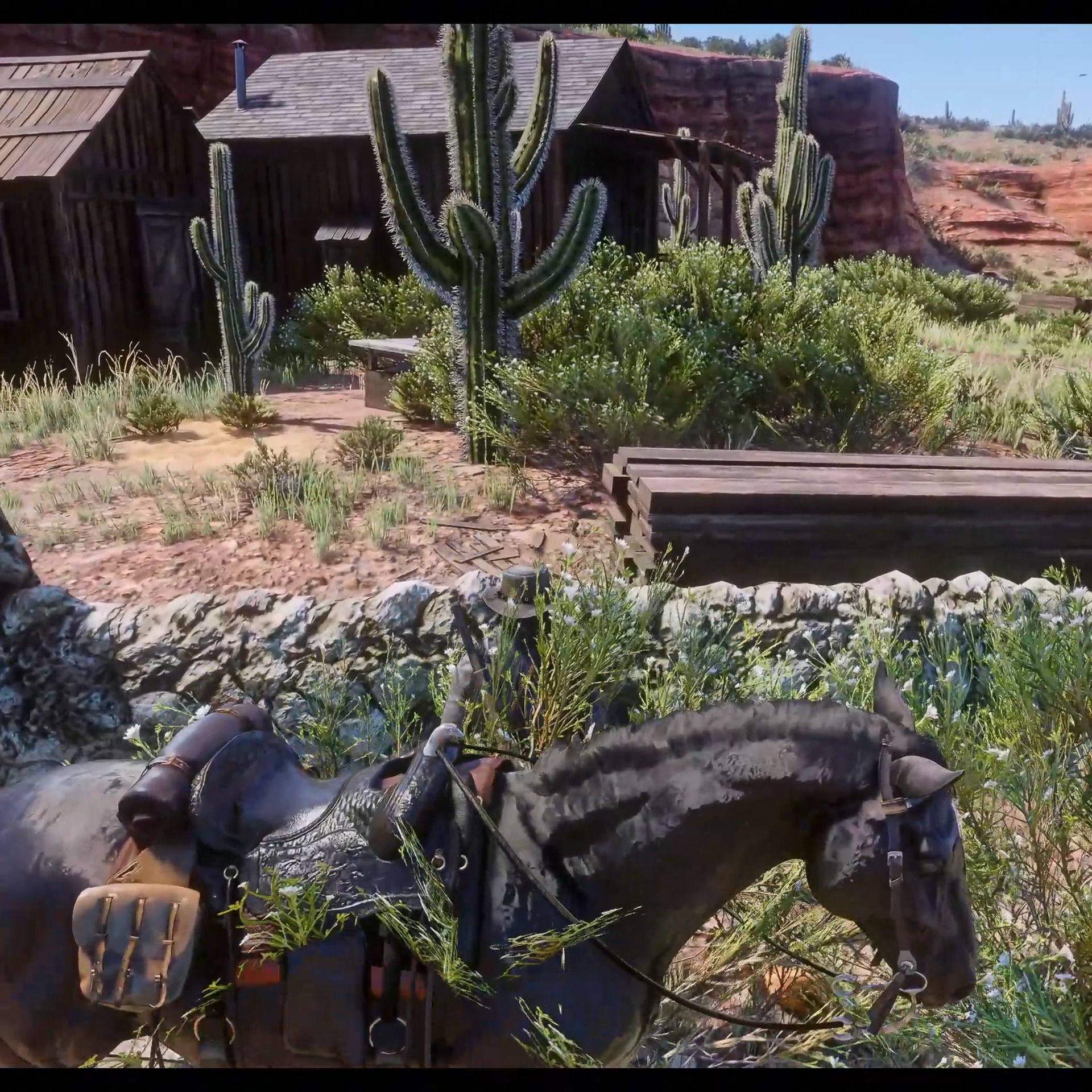 Many players might missed this rare item and rare code.... # ...