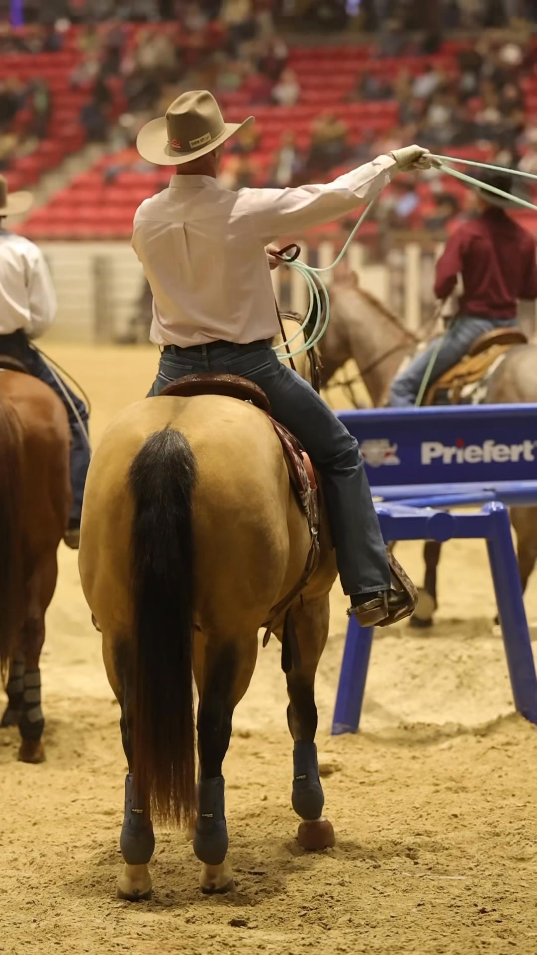 What a DAY we had yesterday to kick off the 19th edition of the Ariat ...