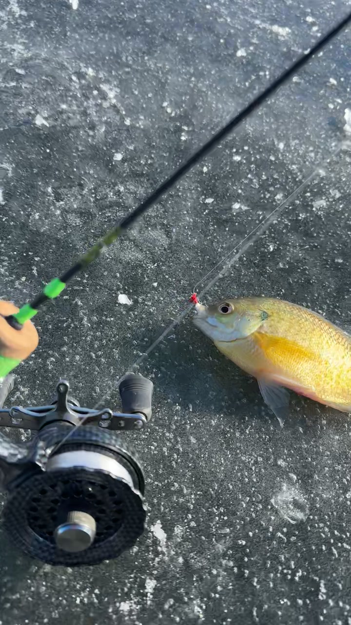 best ice fishing rod and reel for panfish Combo Ice Fishing Best Fishing Rod