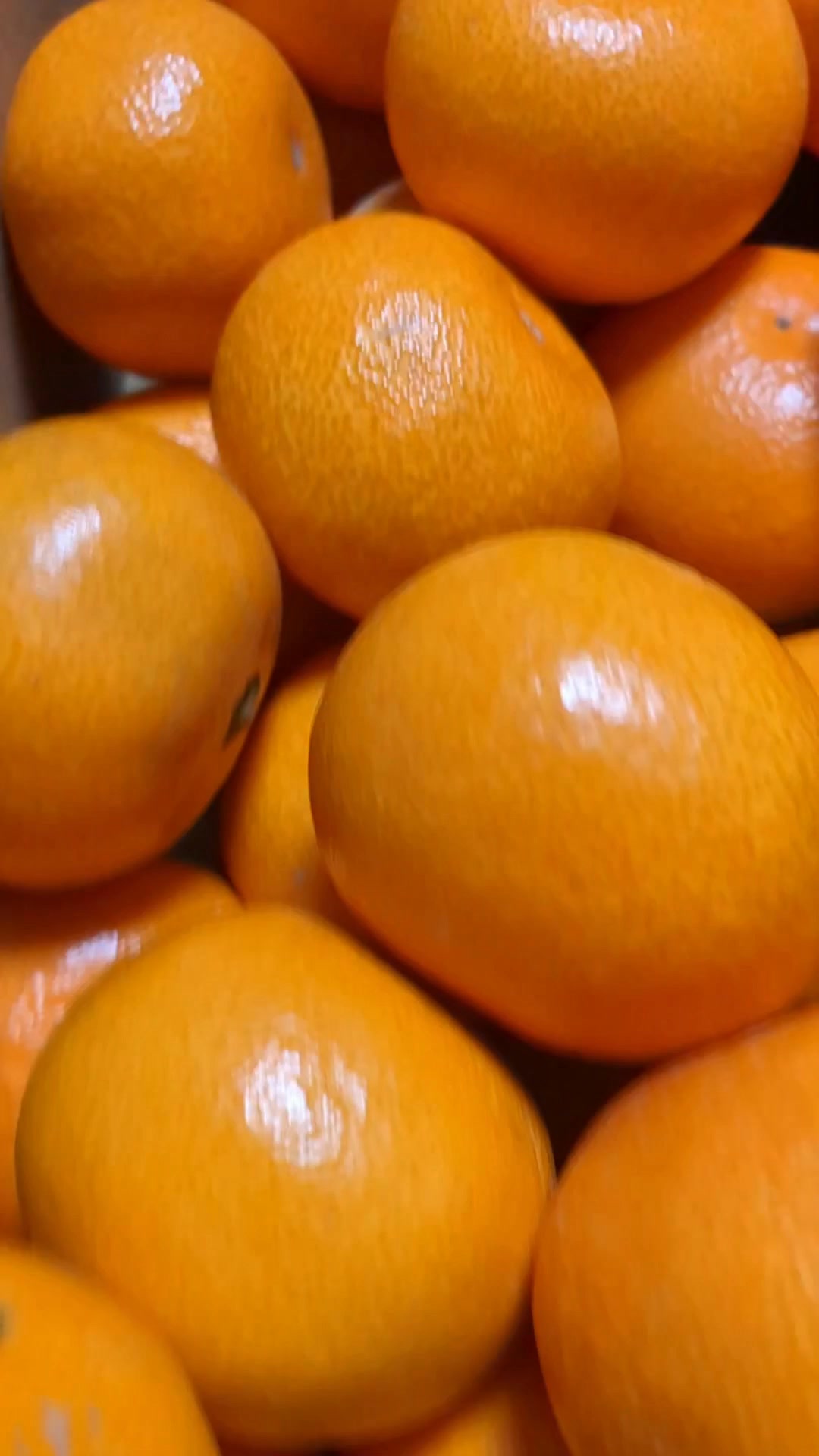 Japanese Mikan Gift Box 🇯🇵🍊 Mikan Gift Box from Wakayama
