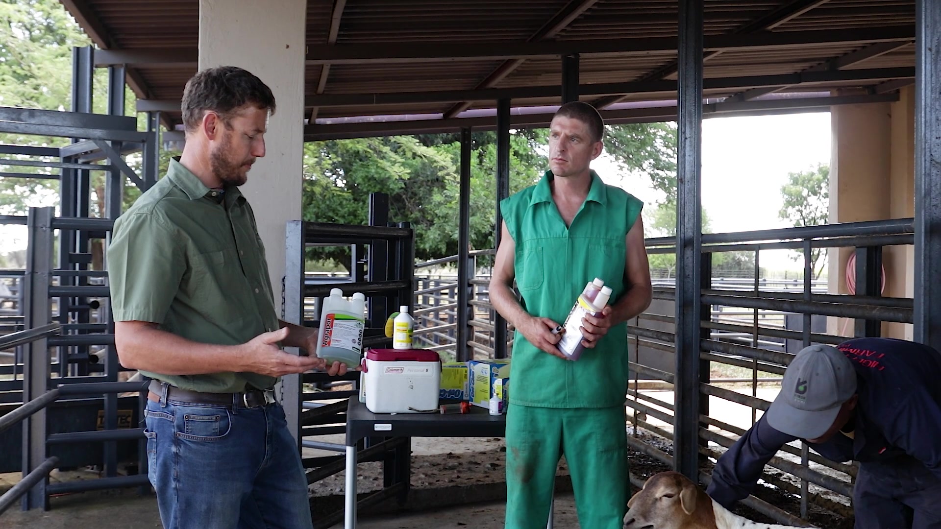 Kyron Agri KZN - MAXIPOUR and ECTOSHIELD is both... | Facebook