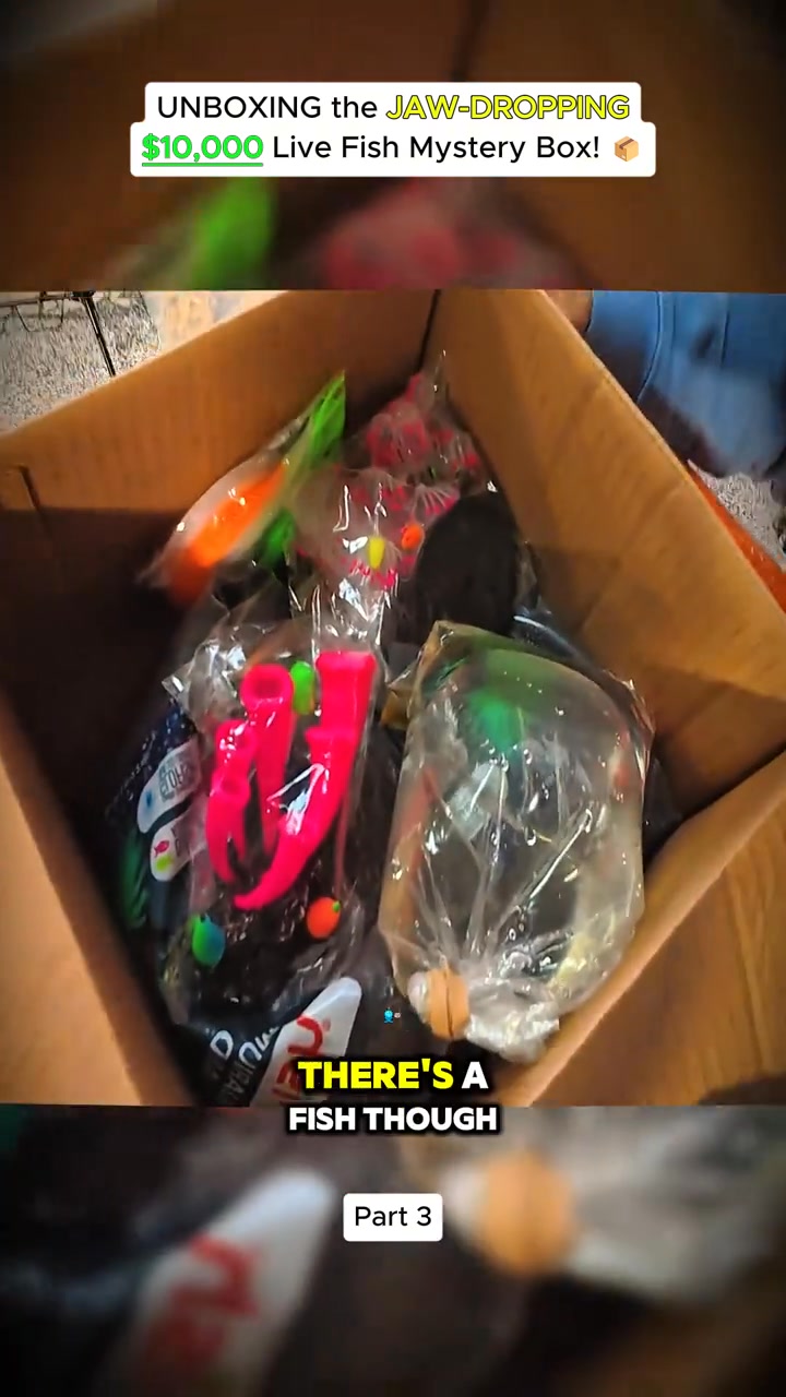 3o gallon water box fish tank Waterbox Aquariums AIO 50.3 Aspen combo:Rod and Ross Reel with Line and backing & leader. daiwa reel The CLEAR MINI utilizes 3 Choices For North