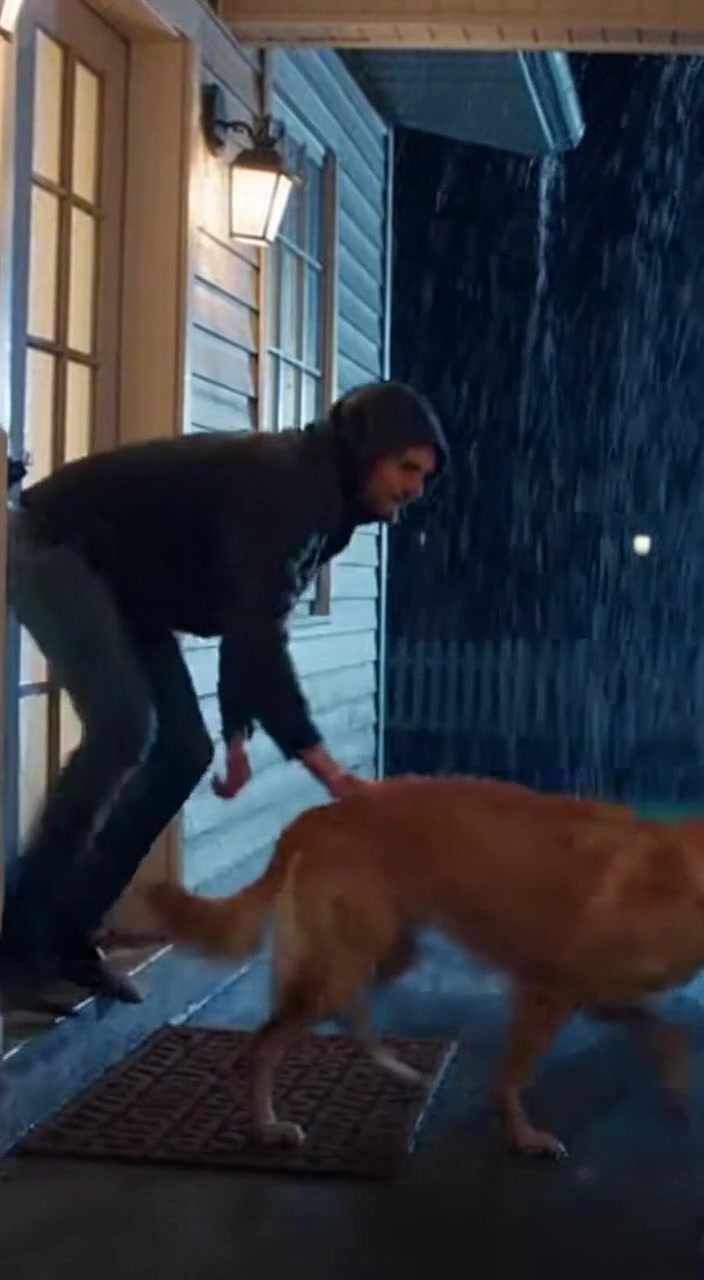 HE LAUGHED AS HE DRAGGED THE SHIVERING DOG INTO THE FREEZING STORM AND ...