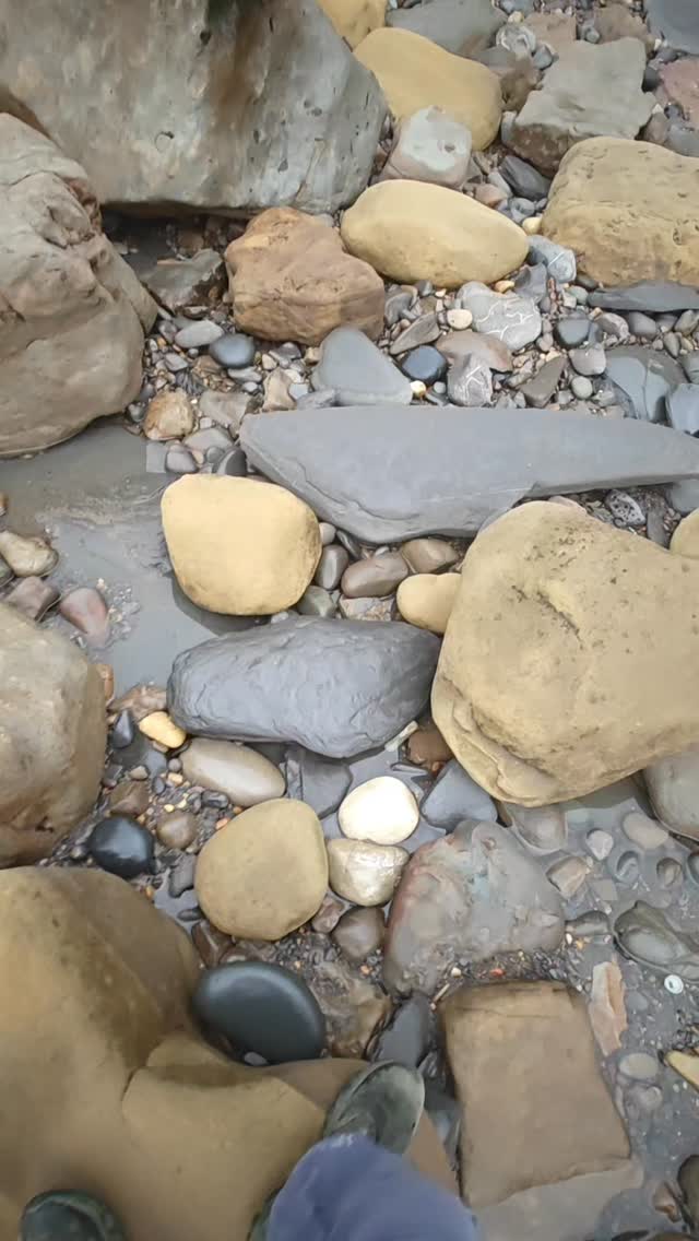 How to find jet rock #jetrock #whitbyjet | Nature's Gift's | Facebook