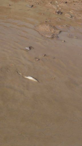 Mud Pond Fishing 🐠🌾 #mudfishing #traditionalfishing | Epic Outdoor ...