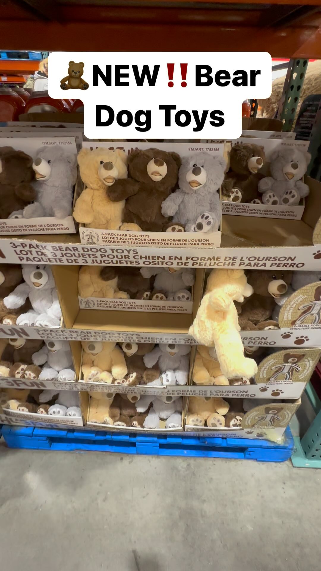 🧸NEW‼️Bear Dog Toys at Costco! Snuggly Teddy Bears that will