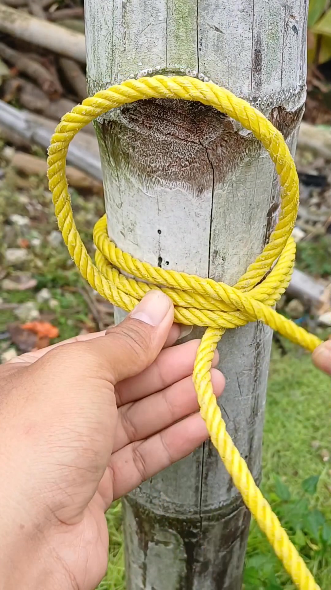 This knot holds tighter than you think 💯 #ideas #diy #knot #rope # ...